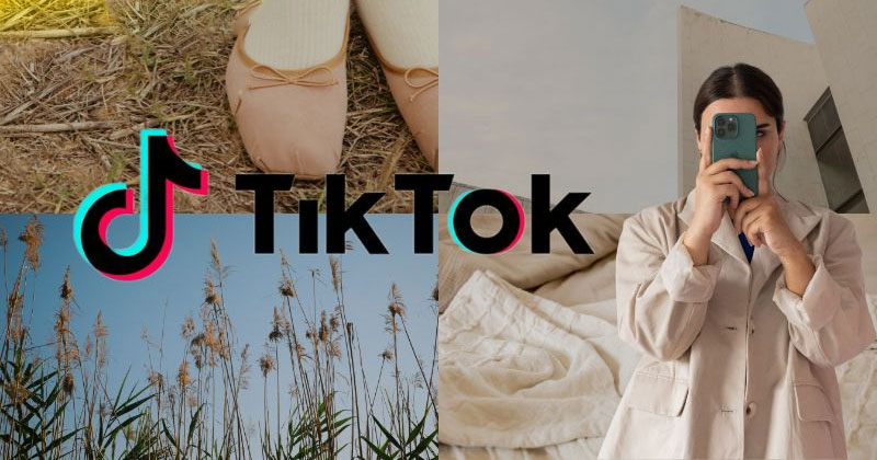 blog-widget